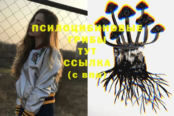 крисы Каменногорск