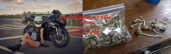 бутират Каменка