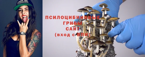 бутират Каменка