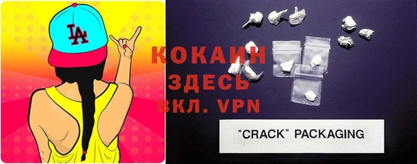 крисы Каменногорск