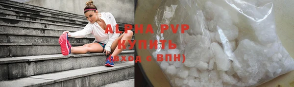 крисы Каменногорск