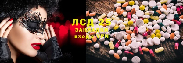 крисы Каменногорск