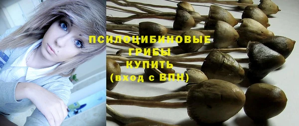 бутират Каменка
