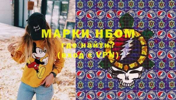 крисы Каменногорск