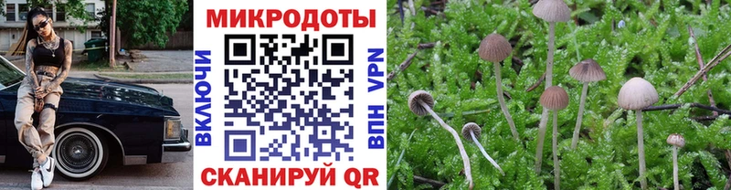 Купить где  Каменка  Псилоцибиновые грибы Psilocybe 